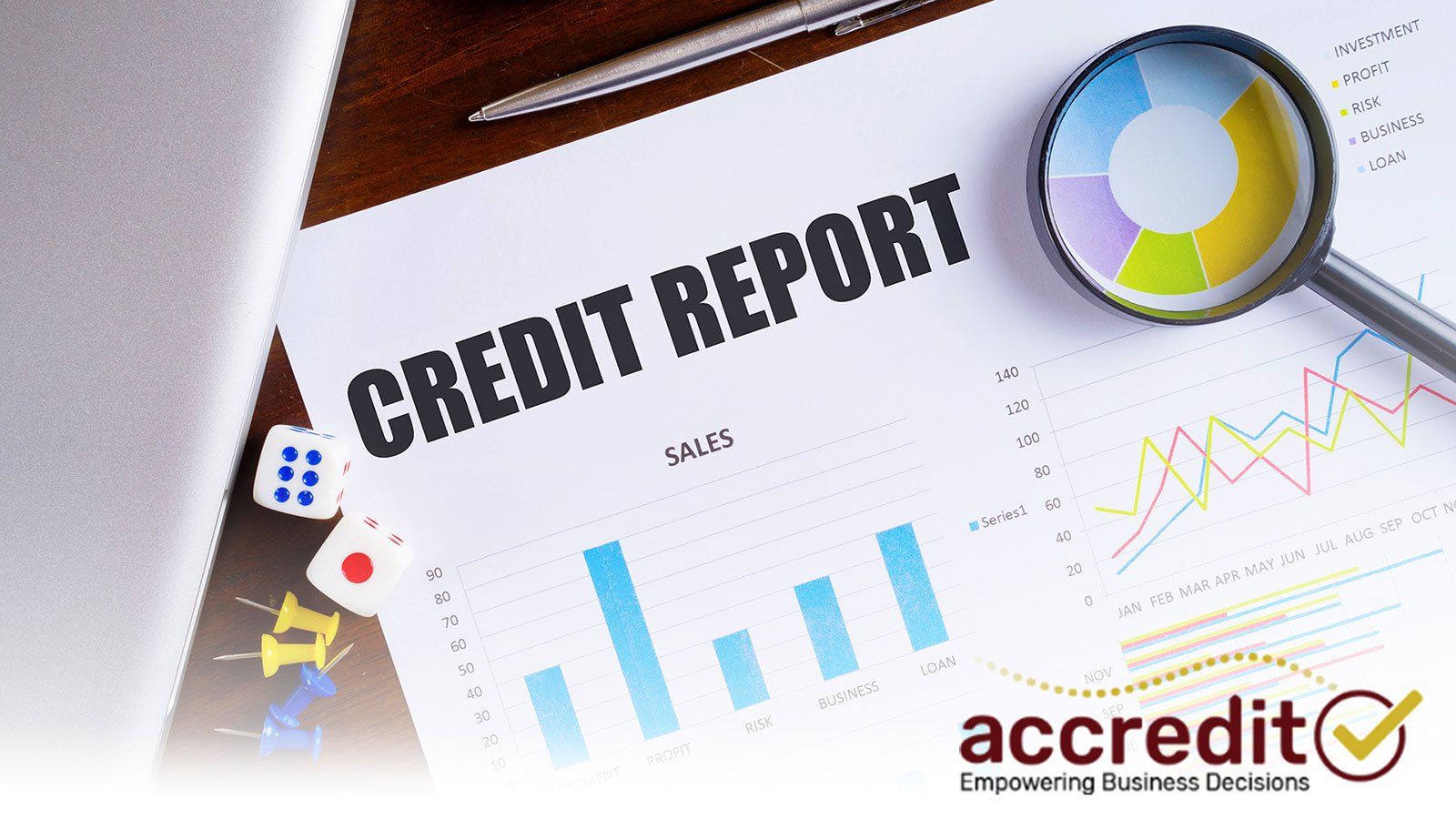Why the Experian Credit Report Risk Dashboard Is So Valuable