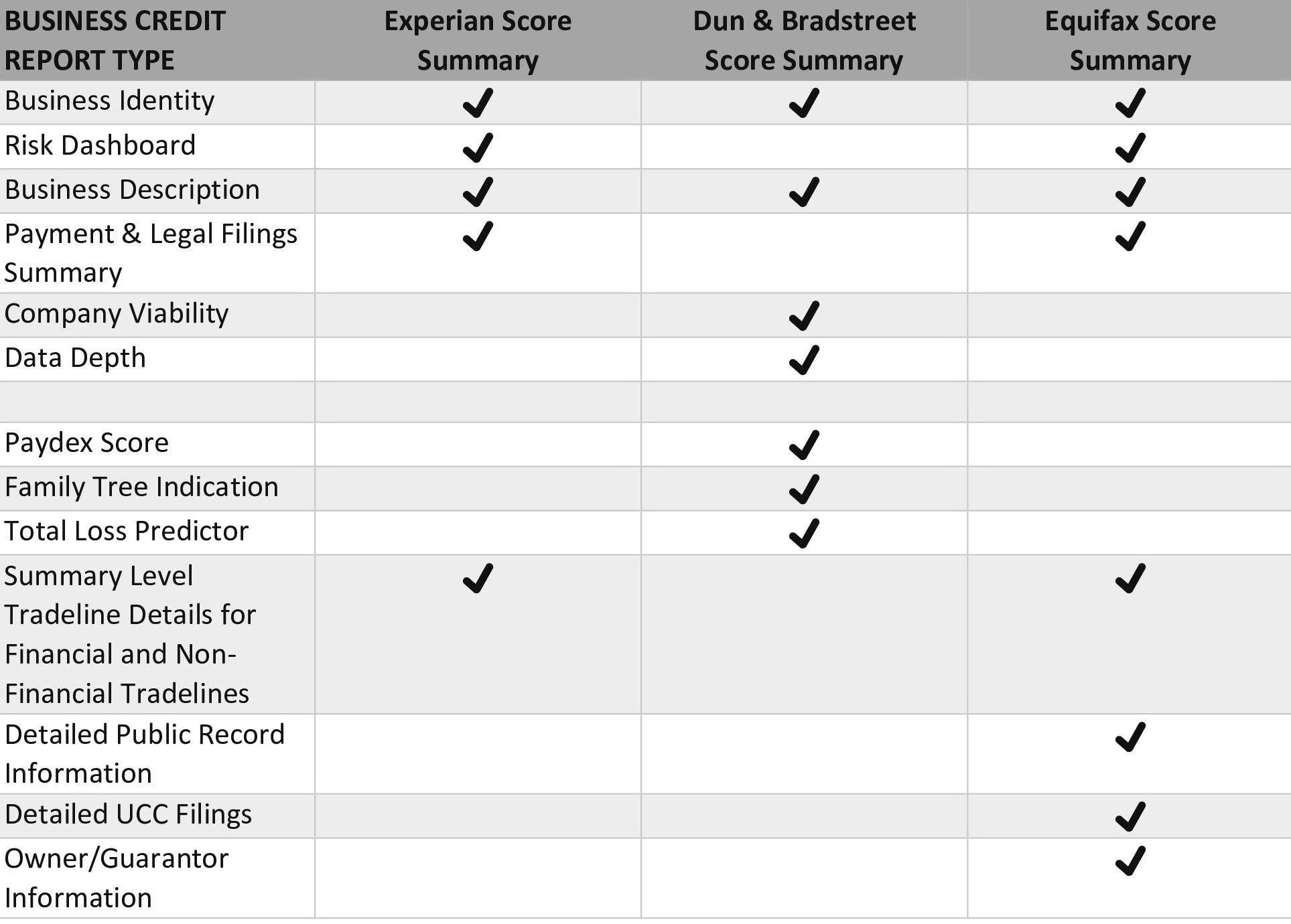 Business Credit Report